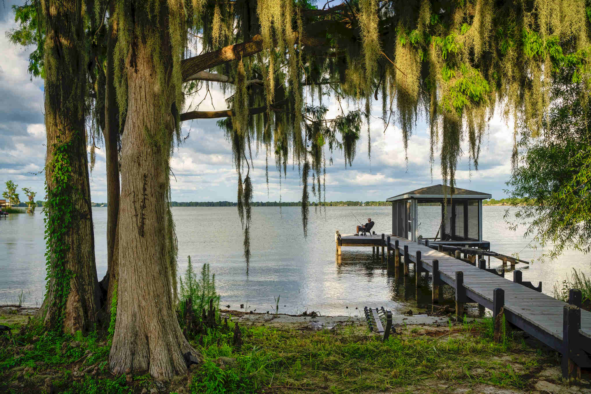 Dock and Boathouse under a large tree - Luxoria Recovery